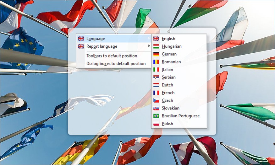AxisVM 12 languages