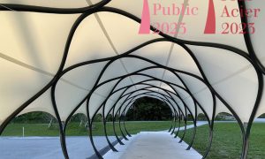 AXISVM_steel_pavilion_5